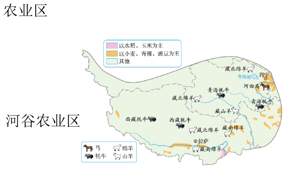 人教版八年级地理下册第九章第1节青藏地区自然特征与农业视频微课