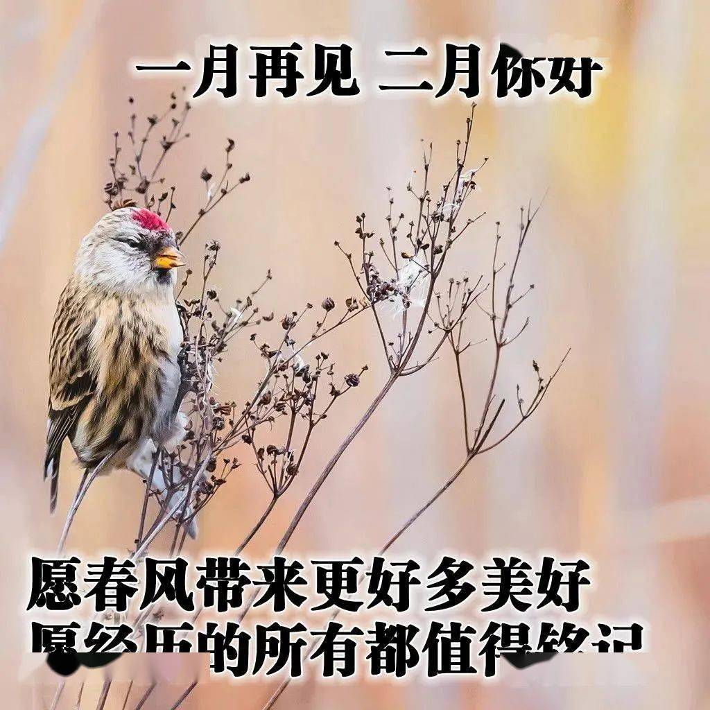 2月漂亮早安早上好图片带祝福语唯美清晨早安问候祝福语图片精选