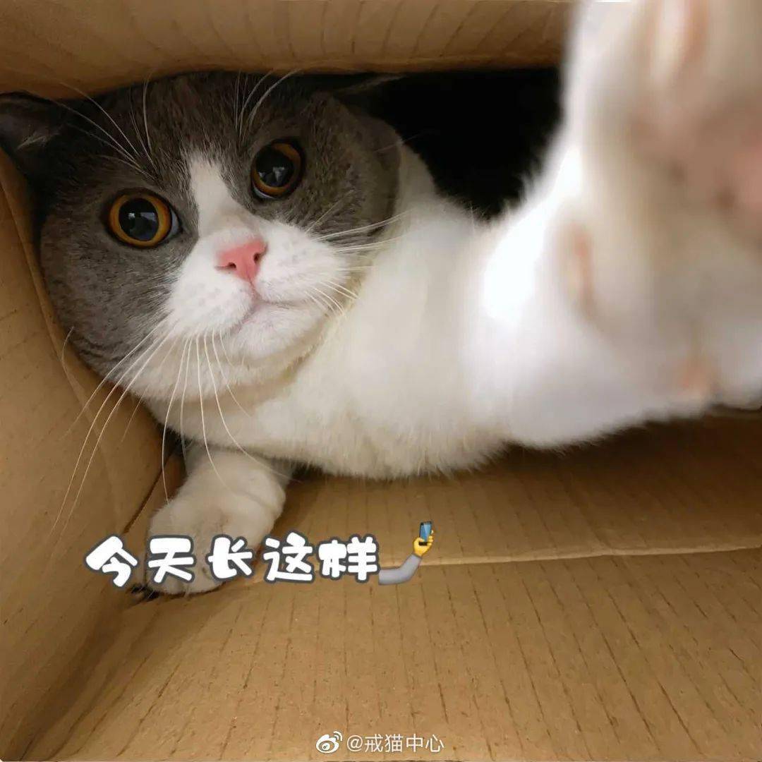 manny向你抛来个wink 除了大网红自拍达猫manny,  隐藏在民间的自拍