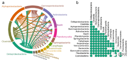 菌群数据的统计和可视化方法