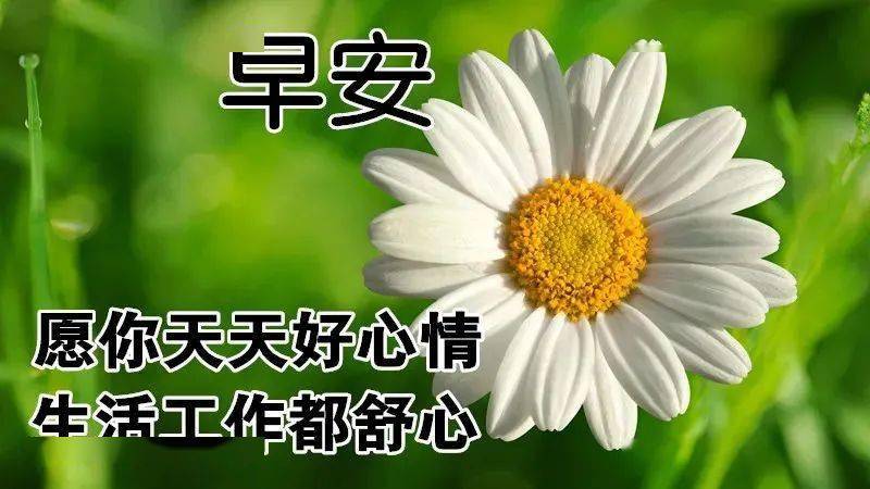 2021新版微信早晨好短信大全,早上好动态表情图片大全