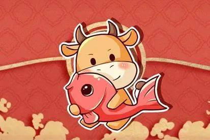 我属 牛.
