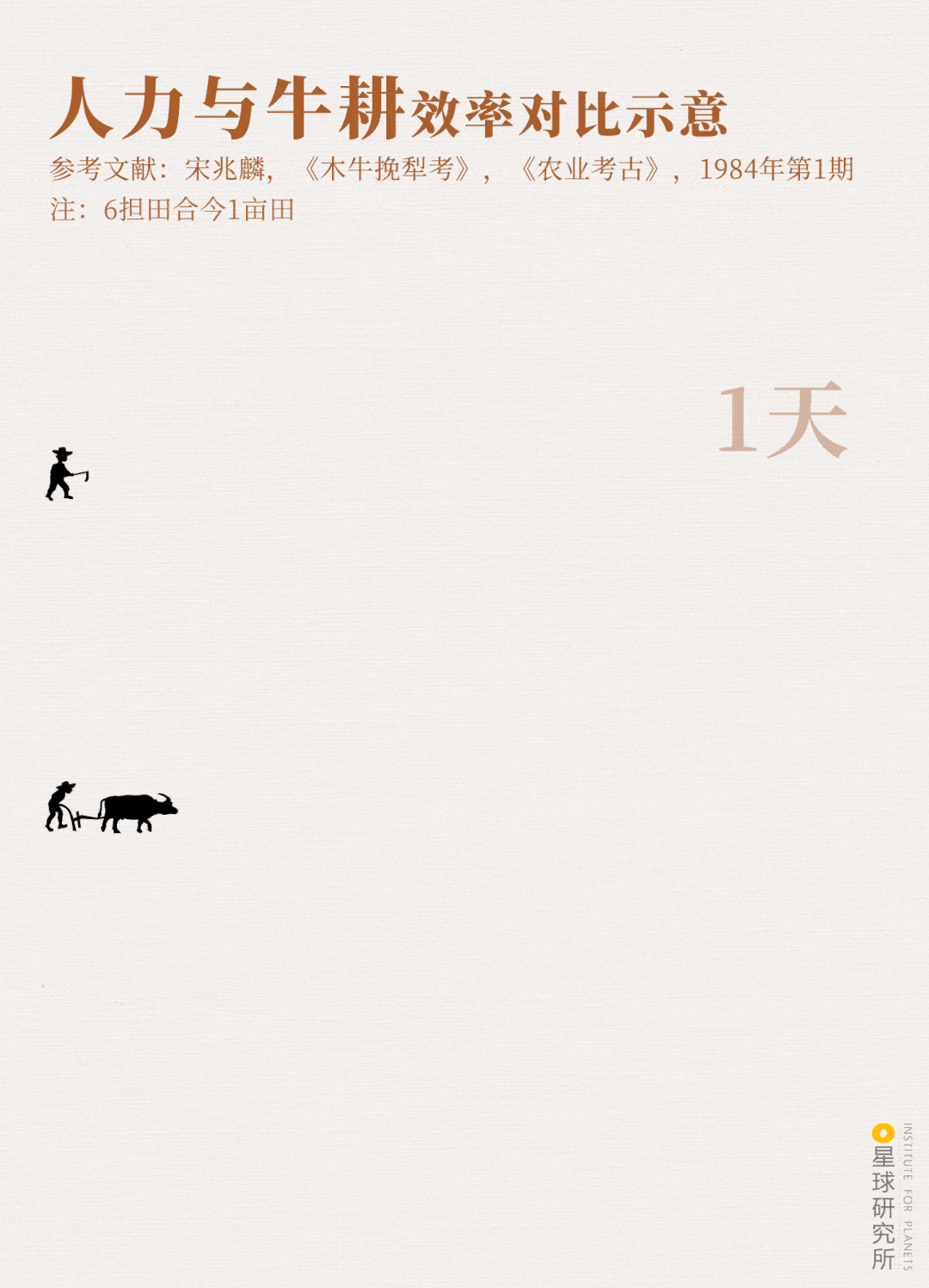 中国牛是真牛