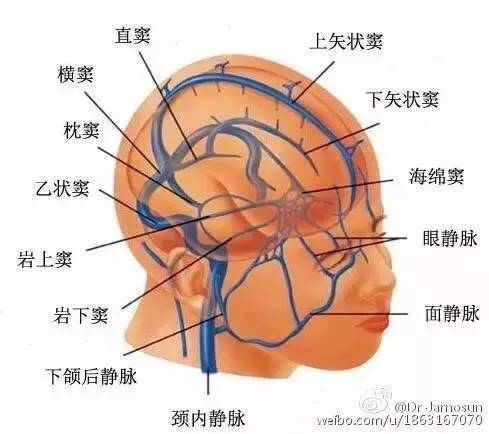 颈内静脉;2.鼻咽;3.颈内动脉;4.小脑. 1.颈内动脉;2.颈静脉球;3.