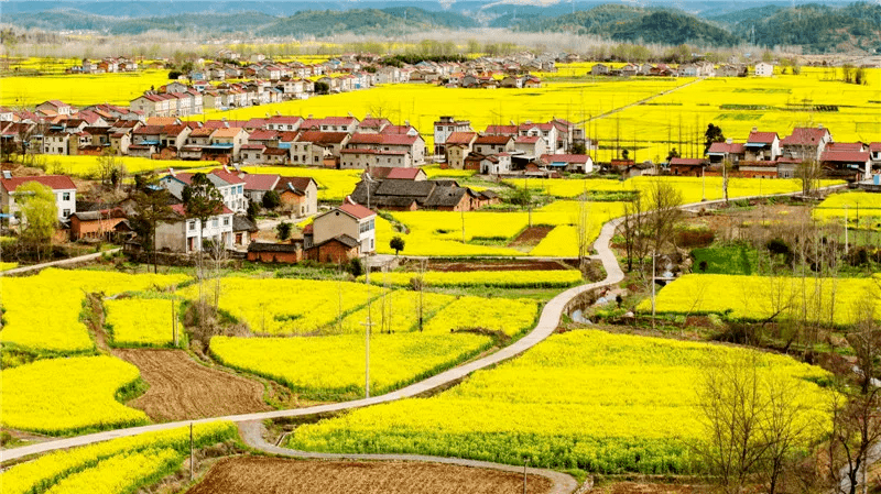 两河镇赵闸村村民正忙着春耕生产