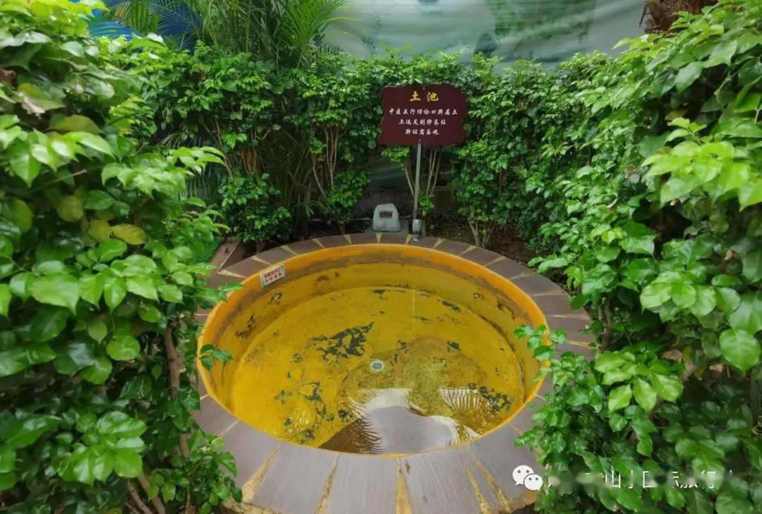 凤凰山杜鹃花海丰顺汤坑温泉3天游纯玩