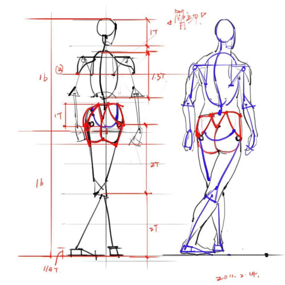 人体骨骼姿势绘画解剖草图参考合集
