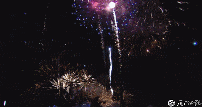 满天星星照亮夜空,花冠拉手,金菊花,环带八花菊等百花盛开,绚丽多姿