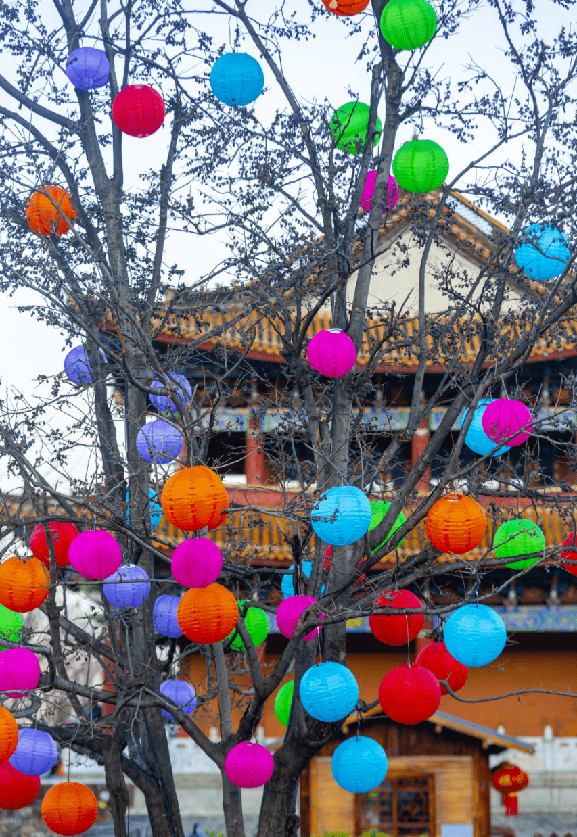 太美了!大理古城新年灯会亮灯喽~游玩攻略速收藏
