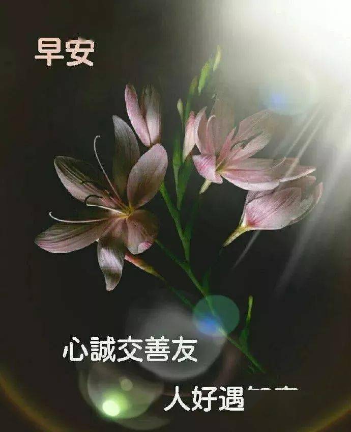 清晨问候早上好的微信表情图片 大家早上好表情图片
