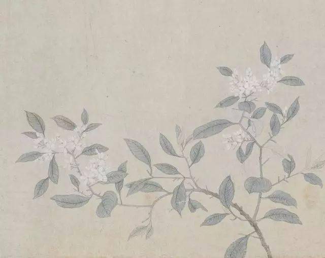 赏画|钱选《八花图卷》