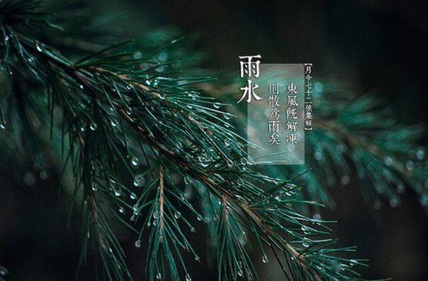 把握住这个"春雨贵如油"的时节说完雨水节气大家可能不知道的一项重要