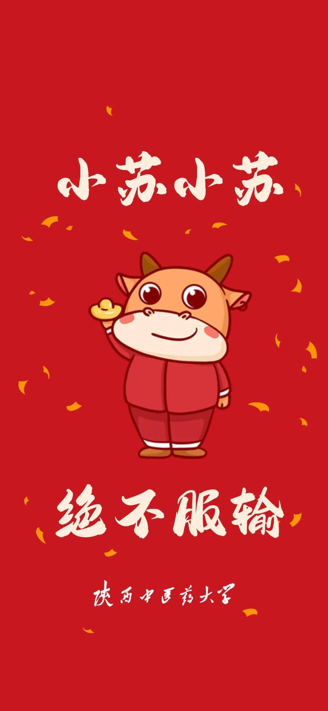 小苏小苏 绝不服输