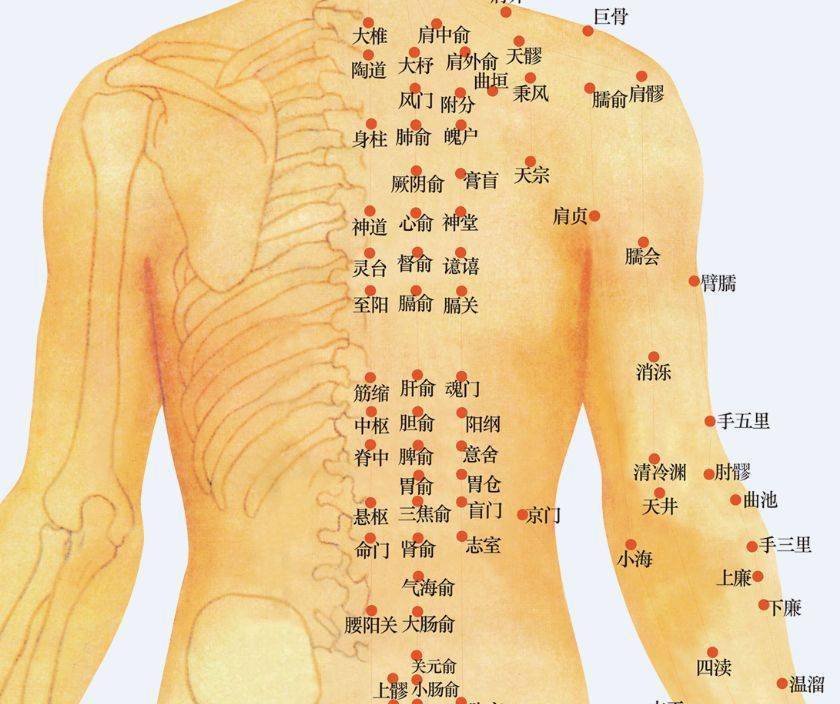 任脉:期门,关元,神阙.