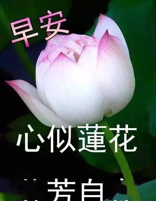 2021年早晨祝福语图片,2021年早晨祝福图片 2021精选超漂亮早晨表情套图 早上好问候祝福语