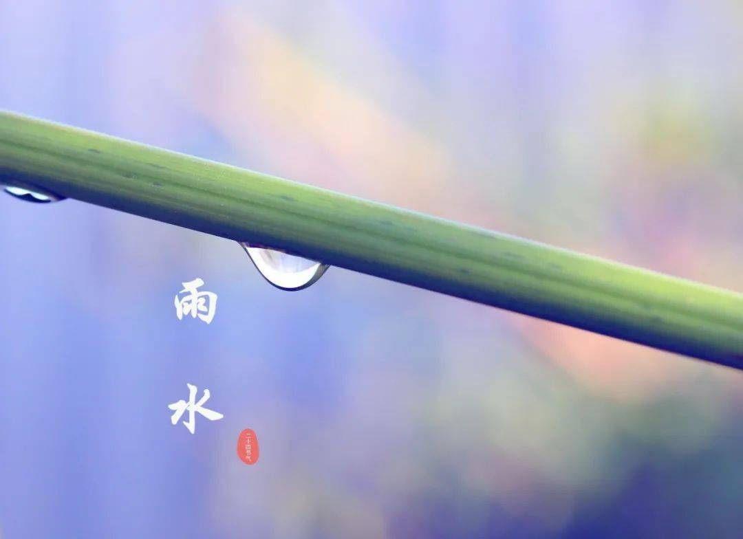 韵海发布 |【爱上简笔画】二十四节气歌系列——雨水