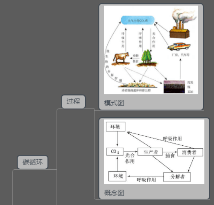 高三二轮复习学生思维导图分享生态系统及其稳定性