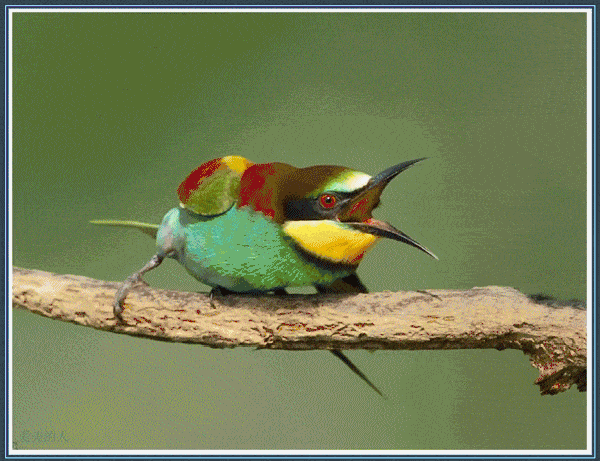 《黄鹤楼送孟浩然之广陵》