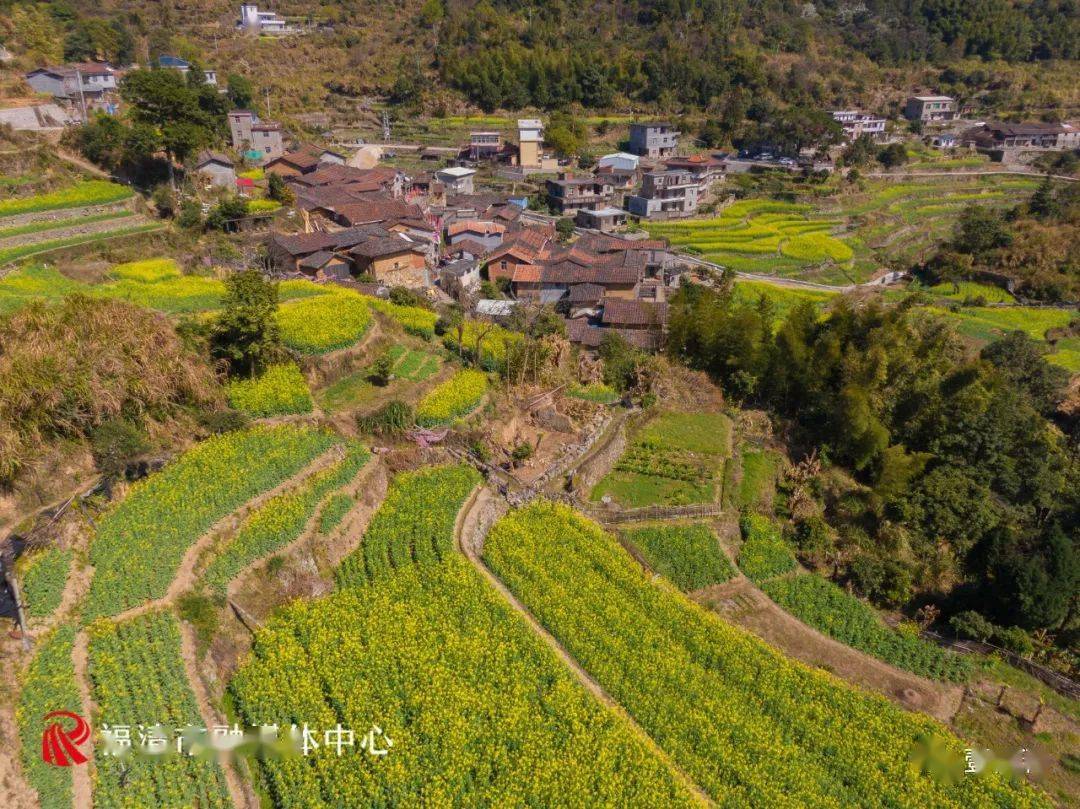 福清千亩油菜花盛开,这里的春色藏不住了!_双溪村