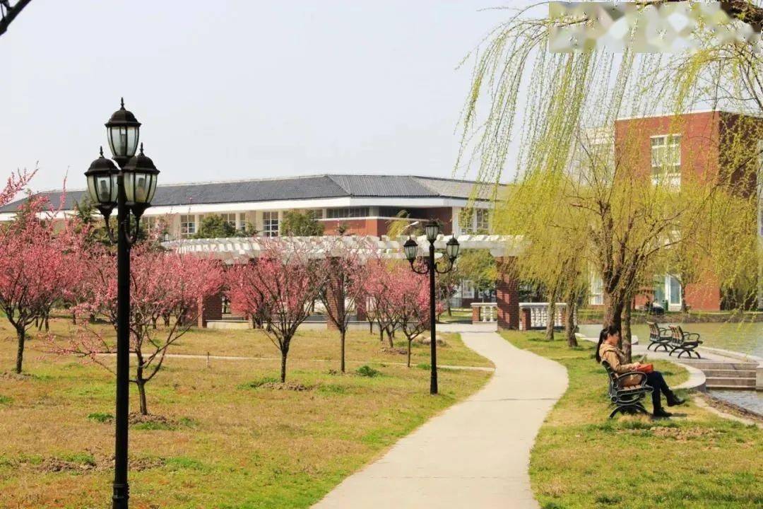 上海立达学院2021年专科层次依法自主招生政策解读