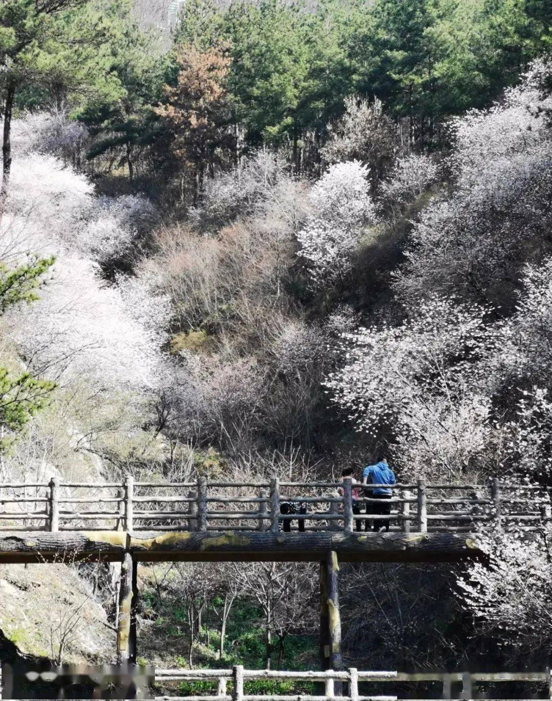 地点 /  清凉寨(景区供图)