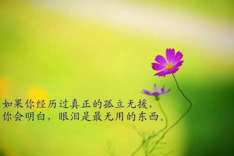 人生有缘情不散,相互牵挂心连心(致心上人)