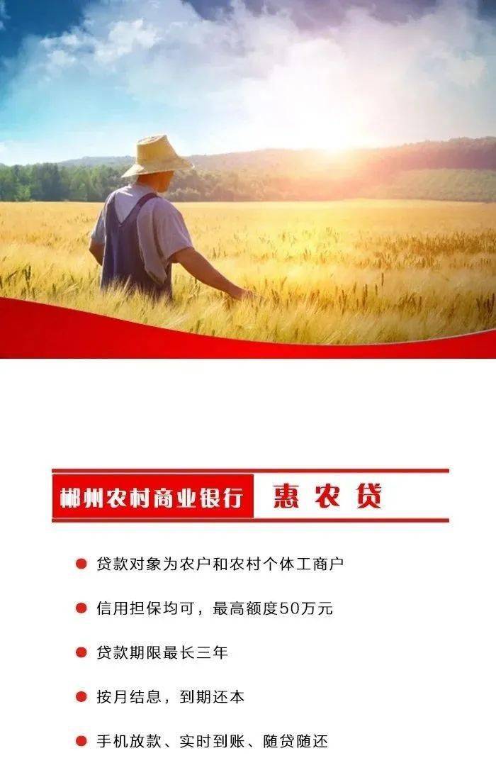 基层调研金叶贷惠农贷助力农户增产增收