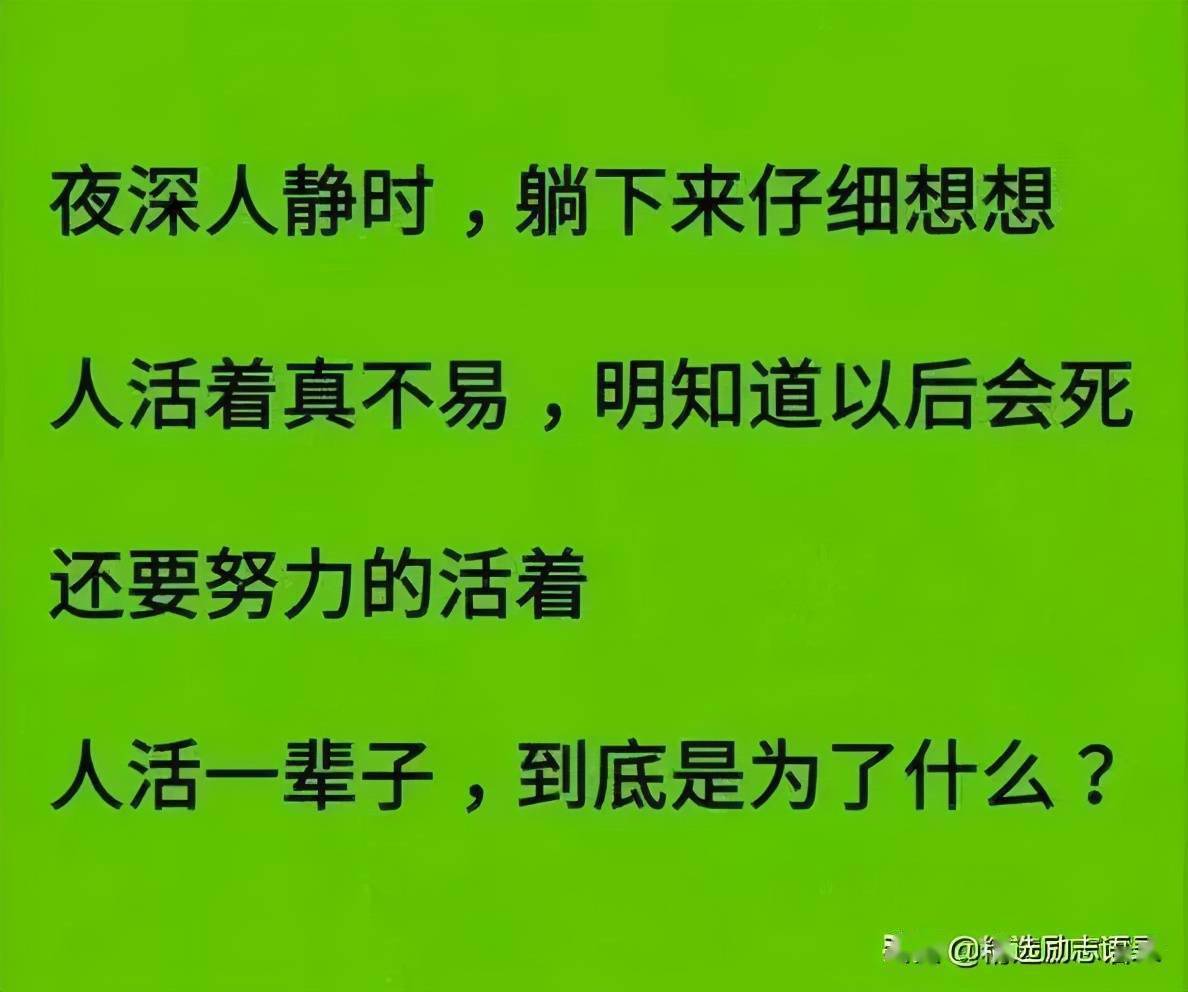 夜深人静,躺下来想想,这辈子真的很不容易
