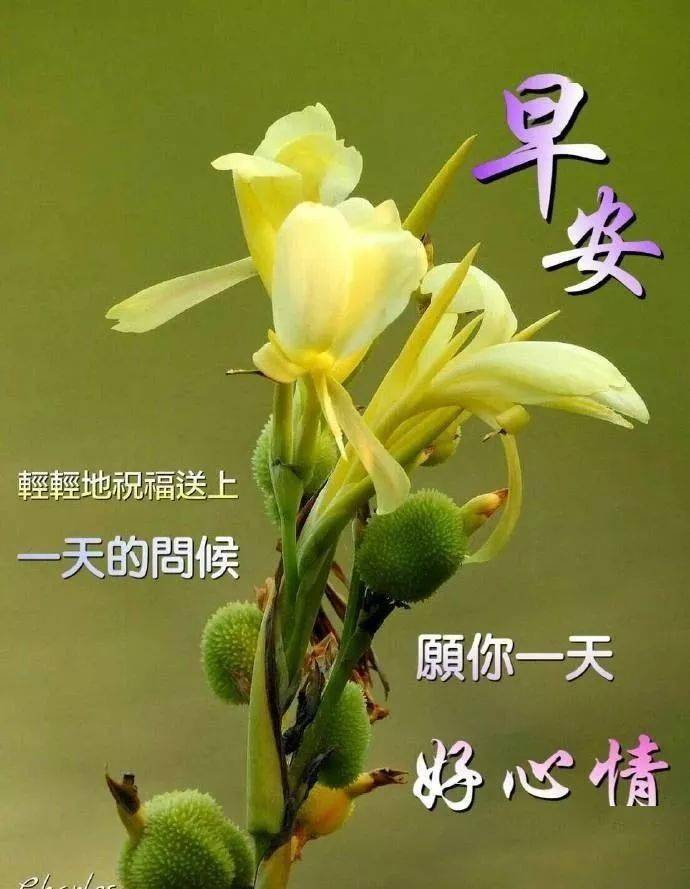 早安动态美图片温馨带字早安问候祝福语短信大全