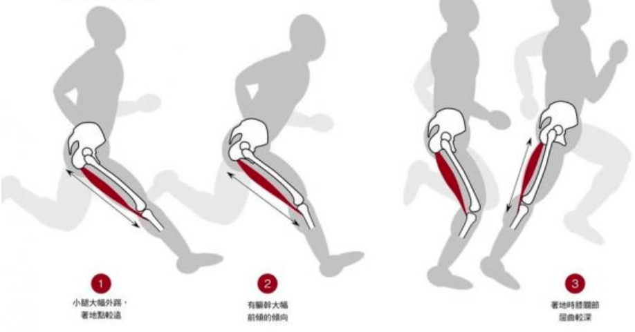 大腿后侧腘绳肌拉伤的原因