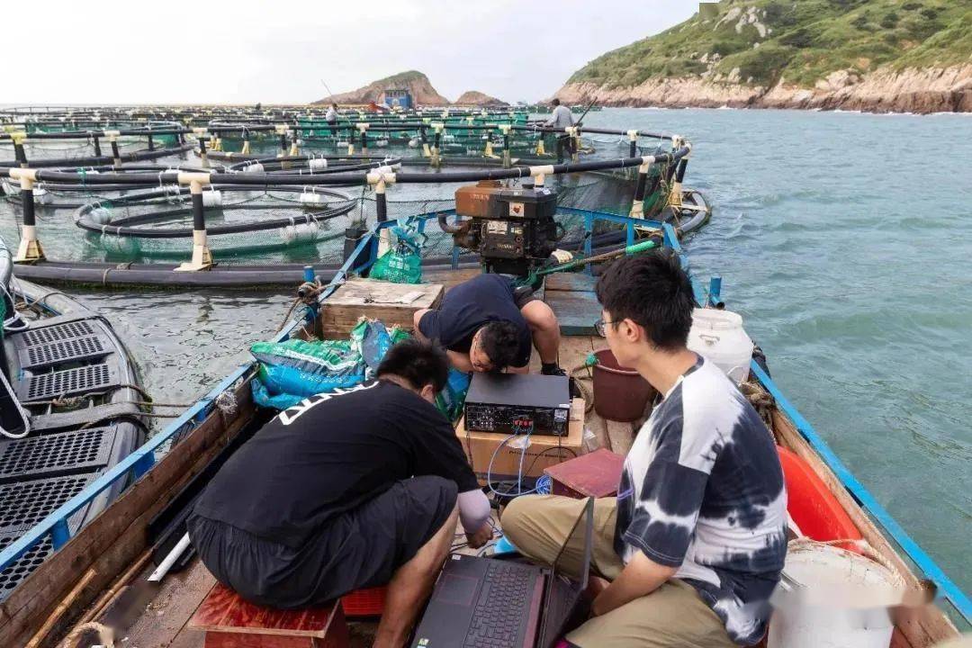 别走开阿海喊你来为东海大黄鱼投票啦