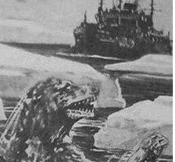 62年前,一怪物在南极近海现身30秒,远古生物有可能存活至今么?