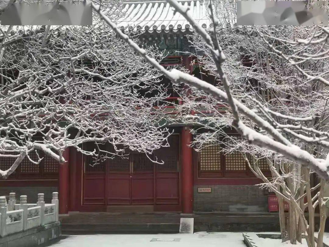 需要一场雪潭柘寺景区门头沟的雪景随我一起去看看飞雪迎春到银装素裹