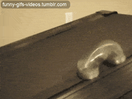 比如让slinky上跑步机健健身,跟自动扶梯比速度.