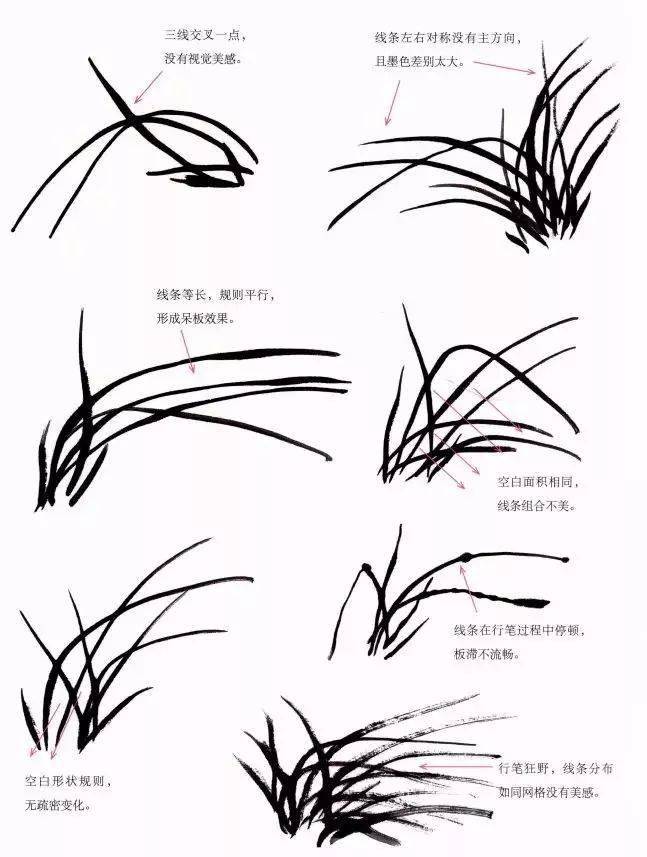 图文教程——兰花画法示范