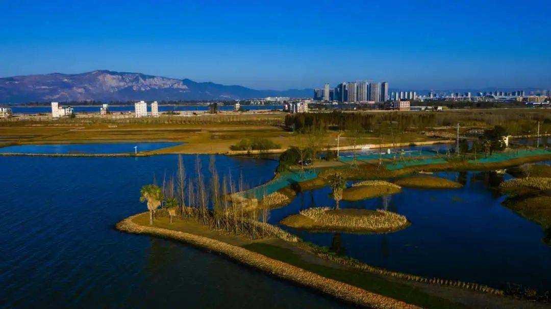 滇池湿地:春暖花开 海晏河清