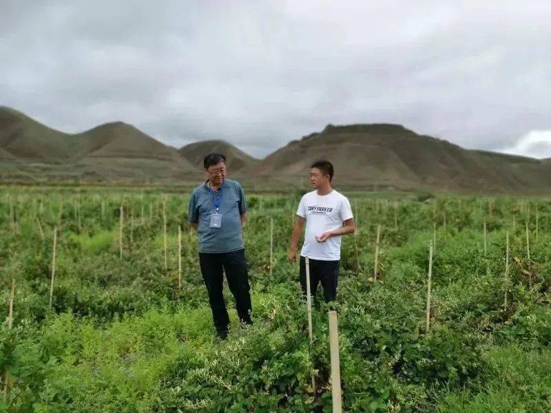 全国脱贫攻坚先进个人,白银市扶贫办主任闫志雄