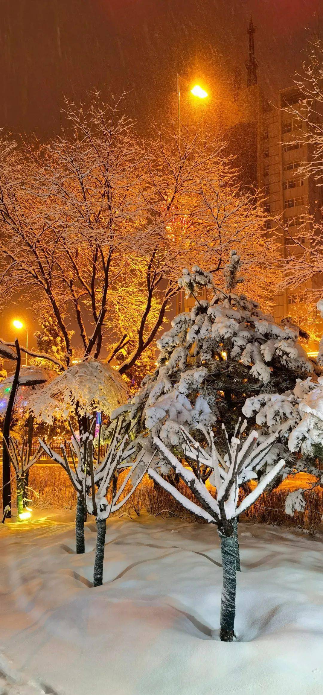 实拍朔州夜色雪景