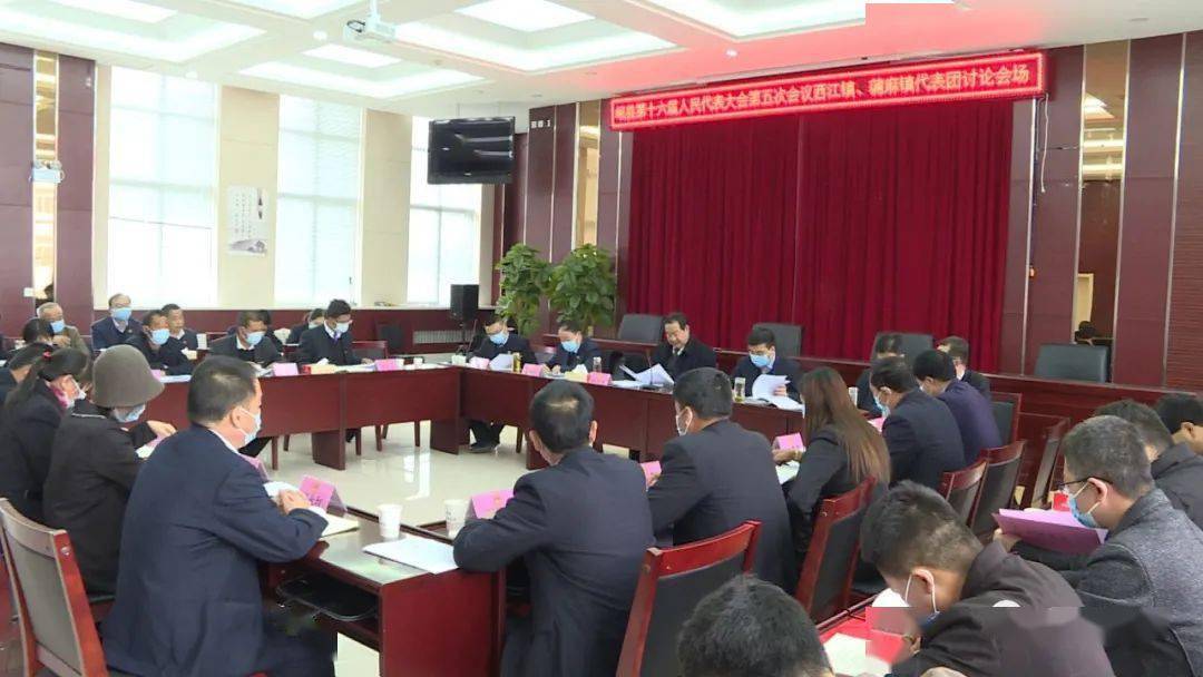 杨水涛参加县第十六届人民代表大会第五次会议分组讨论