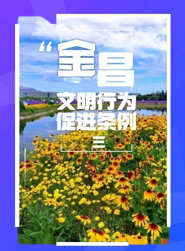 h5丨金昌市文明行为促进条例(三)