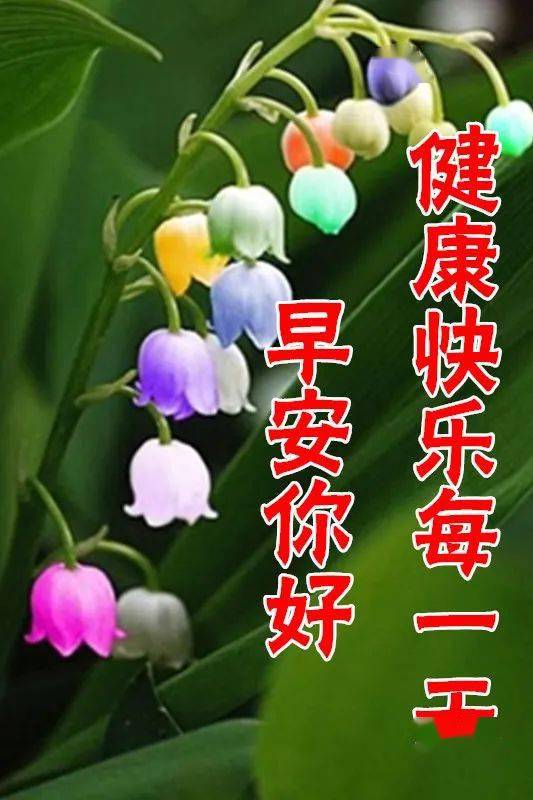 3月4日最漂亮早上好动态表情图片大全,早晨好动图美图