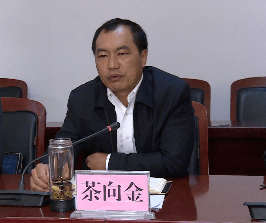 巍山县召开美丽县城项目建设推进会