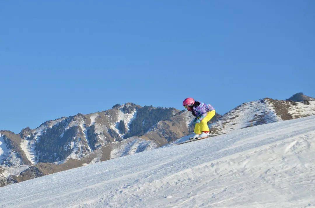 教案模板4 1_小学语文万能教案模板_滑雪教案模板