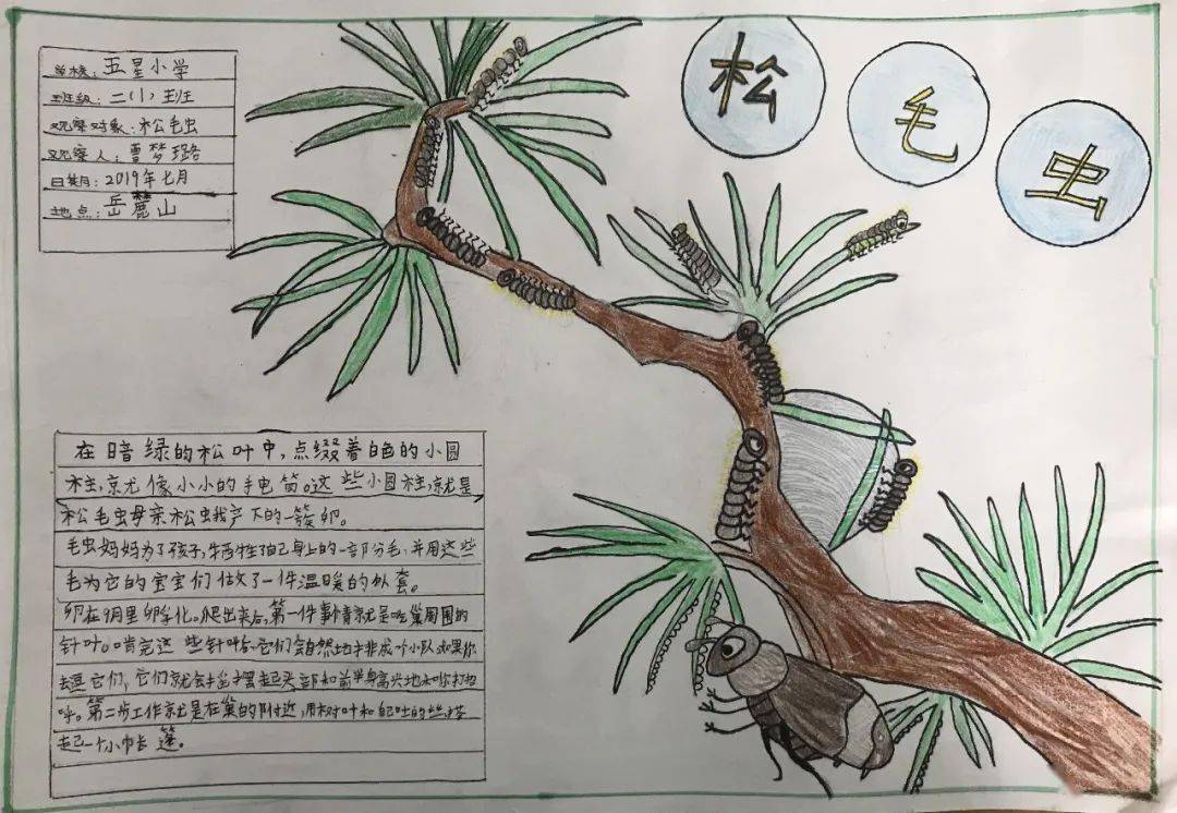 惊蛰到春雷惊百虫二十四节气自然笔记