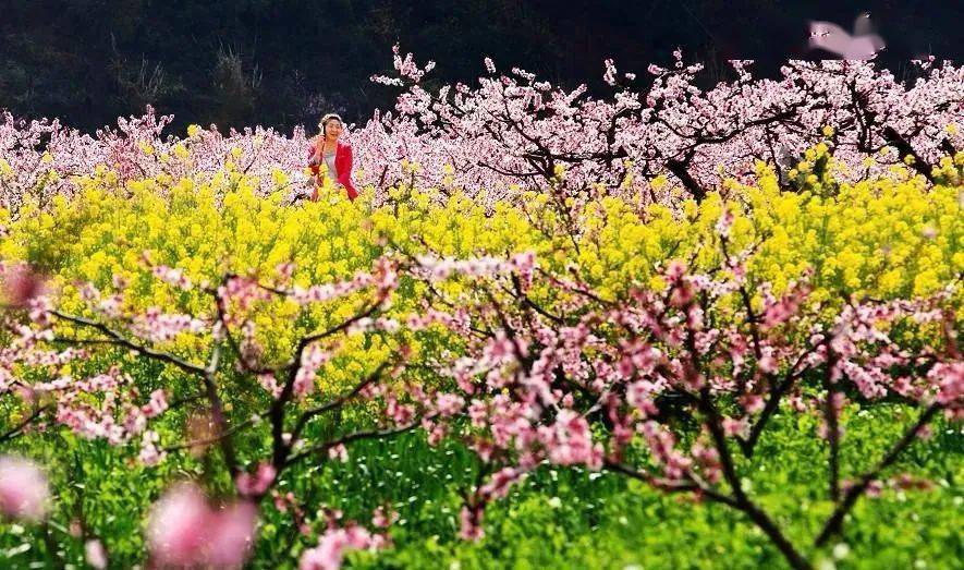 吉水墨潭桃花岛