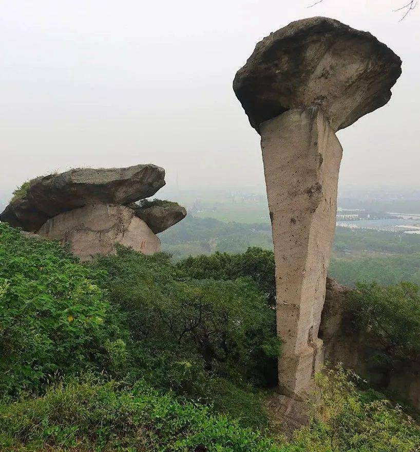 吼山桃花节来啦