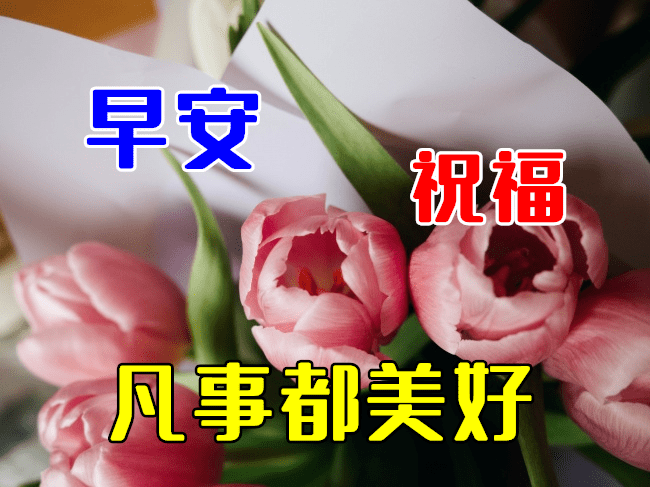 3月6日最漂亮的早上好动态表情图片大全,早上好动图美图大全