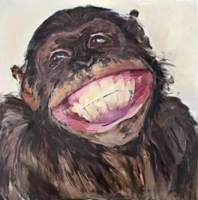 看到猴子笑,你该怎么回应?