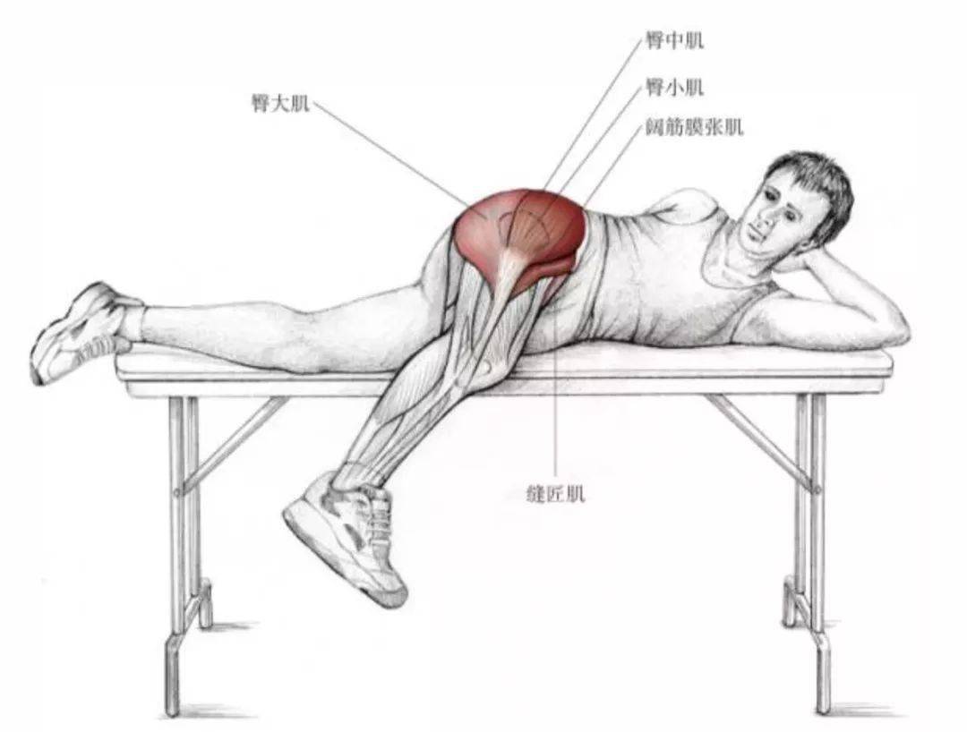 >>>>  拉到的肌群 主要肌群:阔筋膜张肌,臀中肌,臀小肌.