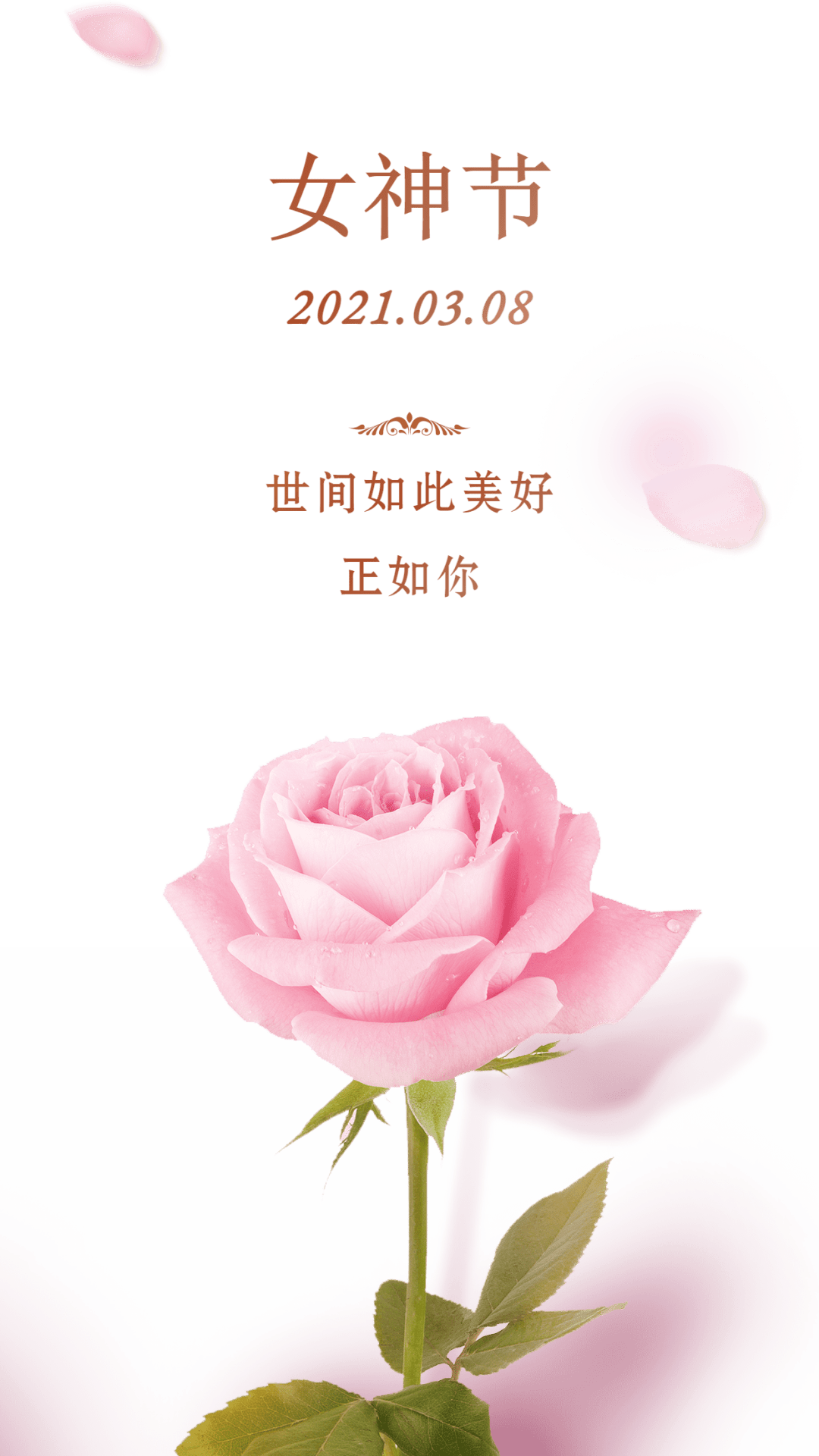 祝你们节日快乐